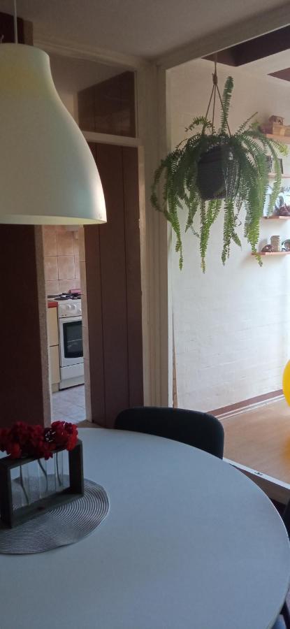 Branysol Apartman Novi Sad Exterior foto
